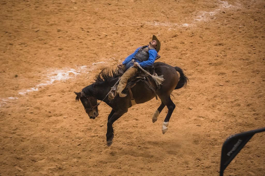 A cowboy being bucked by a horse at rodeo in Texas.