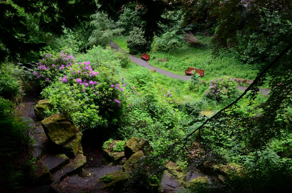 Pittencrieff Park, situated next to Dunfermline Abbey.