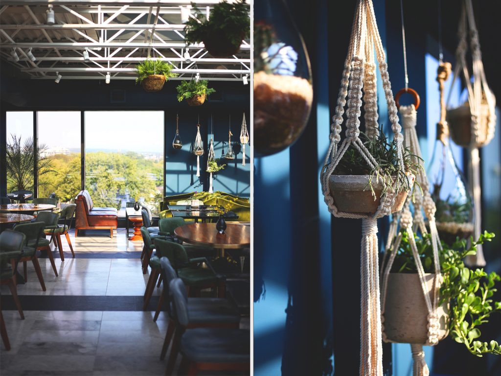 Decor of hanging succulents in the rooftop lounge at the Broadview Hotel.