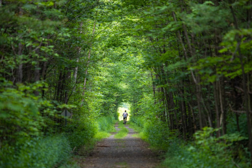 Cyclist on shady forest trail Ontario