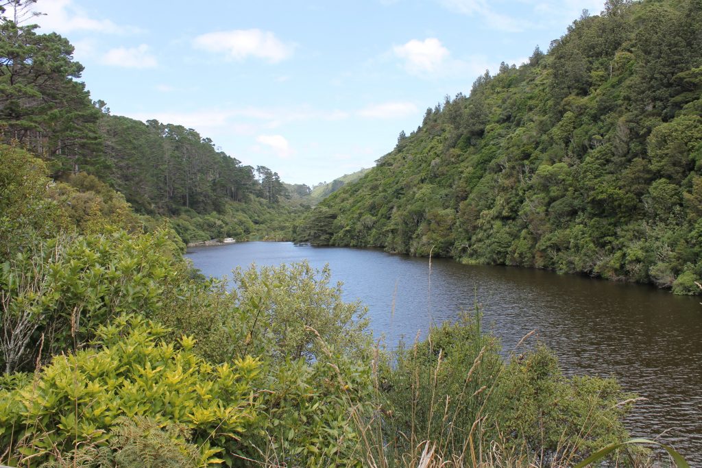 Zealandia park Wellington New Zealand