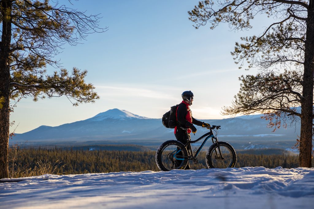 Man with fatbike standing between two pine trees, with a mountain in the background