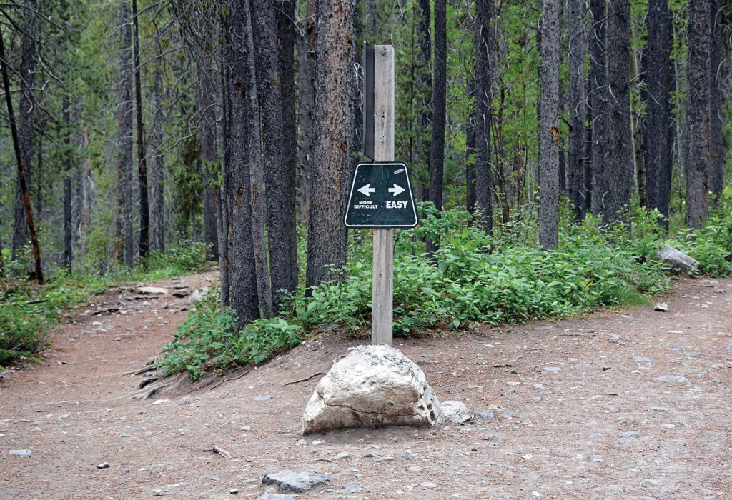 A sign on a post indicates different hiking trails in a wood