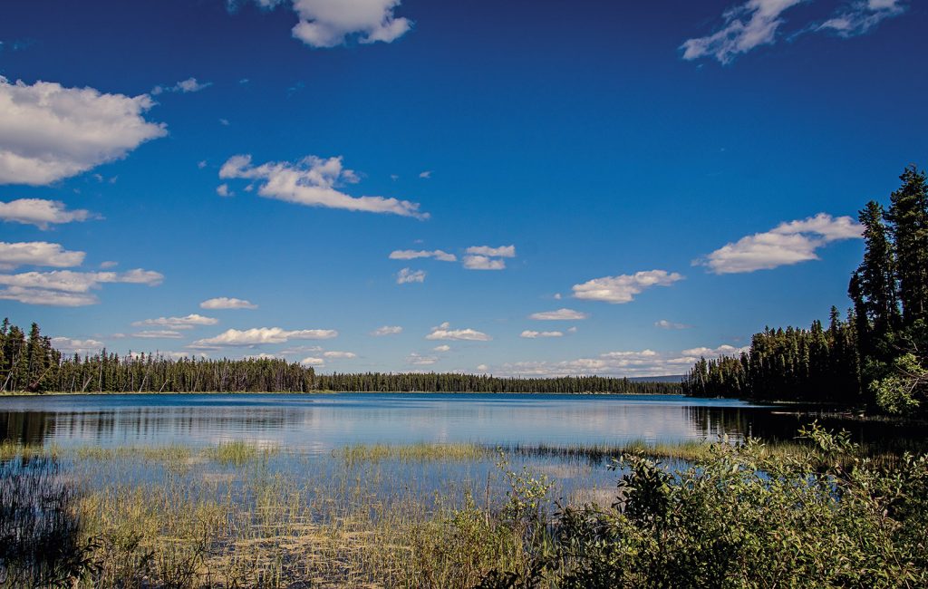 Summer day scene with a beautiful lake