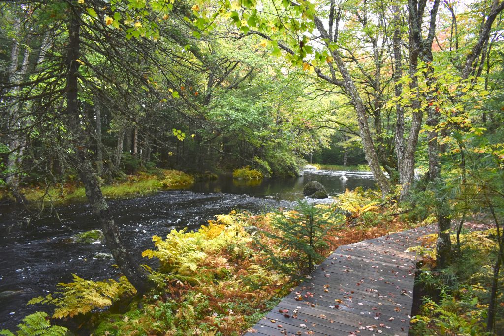 Tusket River with a boardwalk alongside it