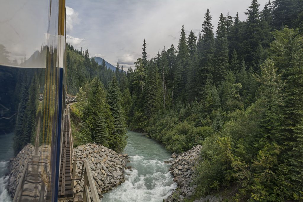 A river runs through a forest