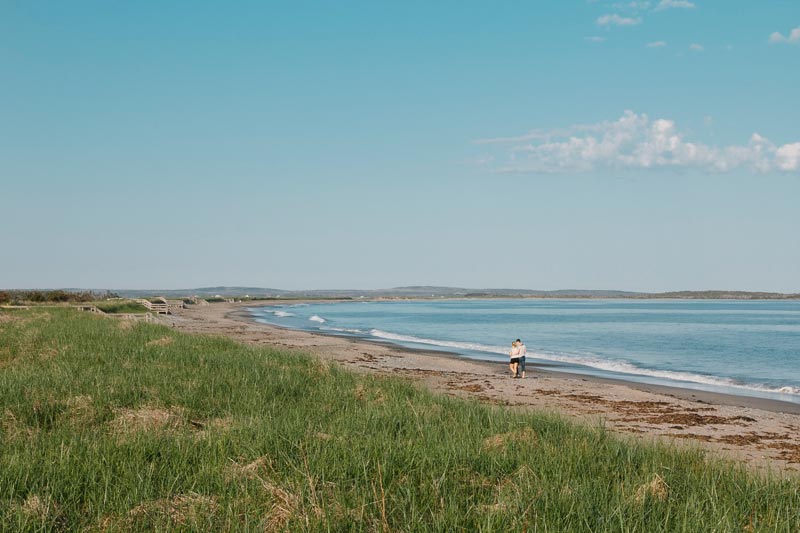 A grassy dune near a beach