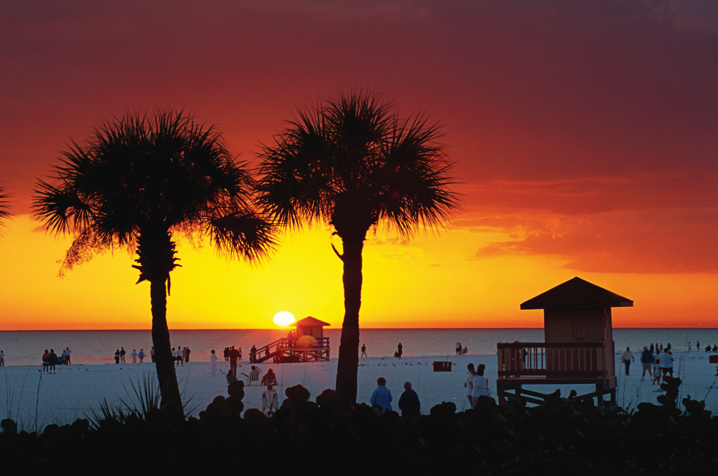 Palms trees silhouetted by a colourful ocean sunset