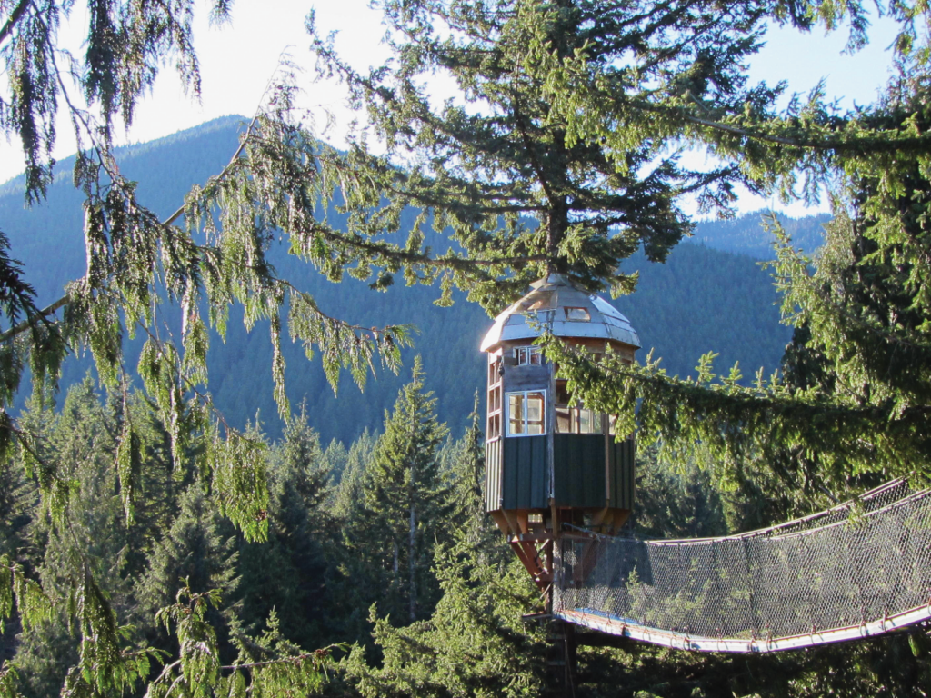A treehouse sits amid a green, mountainous forest.